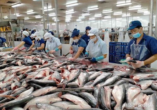 今年越南农业渔业双增长,农民渔民企业三赢